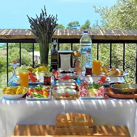 فندق Kabak Misafir Evi بوغازيتْشي